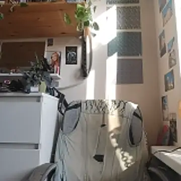 Shy Bamby online show from 11, 3, 2026