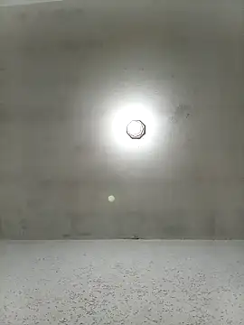 waltherworld online show from 6, 2, 2026