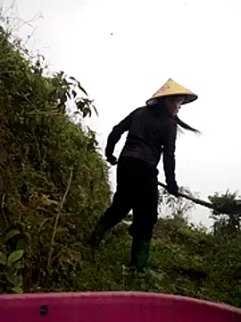 cdyyds-69 online show from 24, 3, 2026