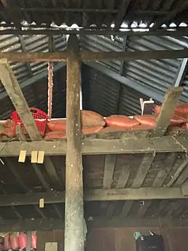 Snapshot of Naalyy chatting on 26, 3, 2026 Naalyy online show from 26, 3, 2026