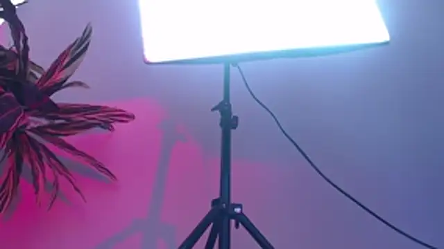 Snapshot of KimiNaru chatting on 3, 3, 2026 KimiNaru online show from 3, 3, 2026