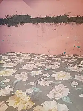 Soni 299 online show from 13, 3, 2026