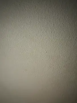 Snapshot of zumma00 chatting on 17, 1, 2026 zumma00 online show from 17, 1, 2026