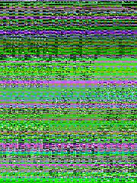 Charlotte-ee online show from 14, 3, 2026