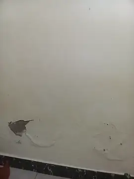 PatriciaVen online show from 7, 2, 2026