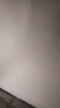 Snapshot of sterng6969 chatting on 16, 3, 2026 sterng6969 online show from 16, 3, 2026