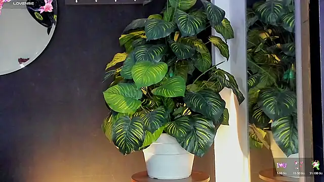 Noaah25  online show from 20, 3, 2026