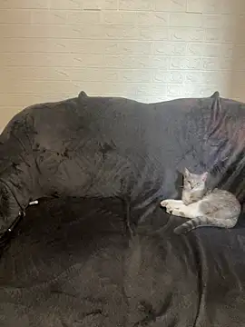 Snapshot of AlisRoxy chatting on 14, 2, 2026 AlisRoxy online show from 14, 2, 2026