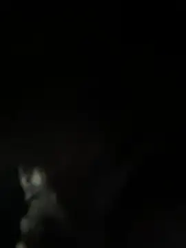 viraj malhotra online show from 4, 2, 2026