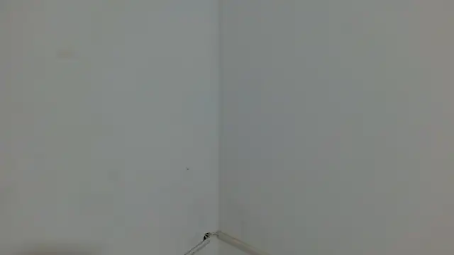 princess1609 online show from 4, 3, 2026