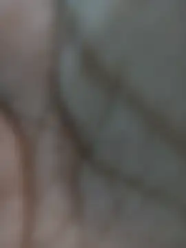 Pooja 67 online show from 7, 2, 2026