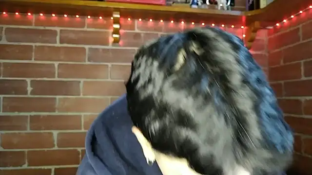 PaulDamico online show from 2, 2, 2026