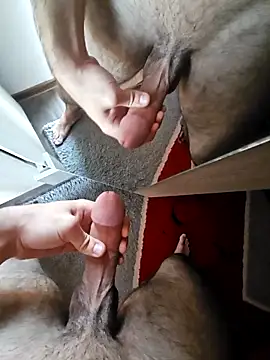 Shady88 online show from 5, 2, 2026