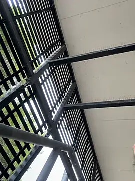 tyd247 online show from 10, 3, 2026