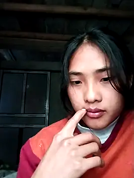 Hoa-tuylip online show from 14, 2, 2026