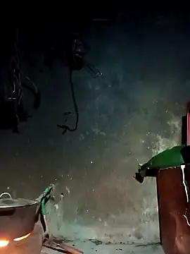 Hoa-tuylip online show from 4, 3, 2026