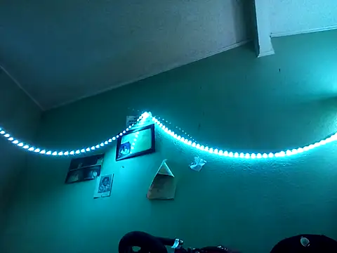 palmdaledyker online show from 24, 3, 2026