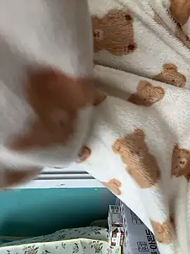 wjddjwjd online show from 12, 3, 2026