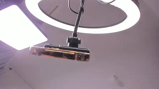 Nia13 online show from 2, 3, 2026