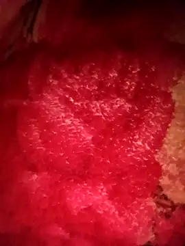 mehedi hot online show from 24, 2, 2026