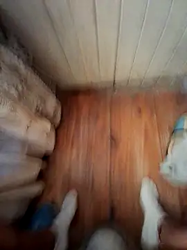 Franco10 - online show from 15, 2, 2026