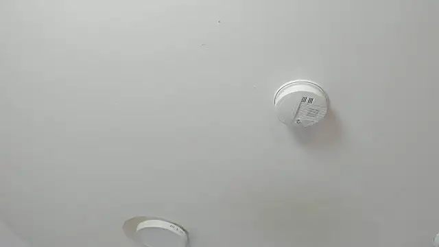 Maddie Rosee online show from 14, 3, 2026