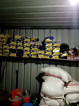 Krishna-10 online show from 2, 2, 2026