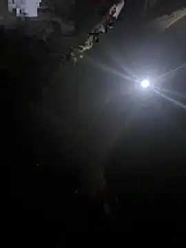 Snapshot of makemestayhard chatting on 6, 3, 2026 makemestayhard online show from 6, 3, 2026