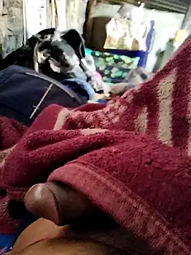 crazyxy12 online show from 7, 2, 2026