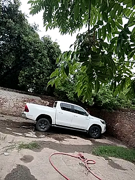 leo85rf online show from 5, 2, 2026