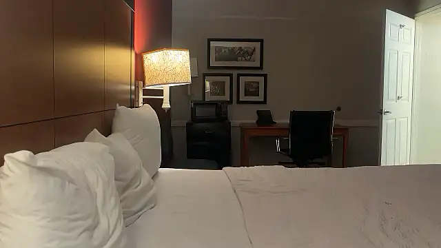 Bigassbottom714 online show from 8, 2, 2026