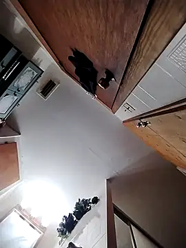 Snapshot of chad23162 chatting on 13, 2, 2026 chad23162 online show from 13, 2, 2026