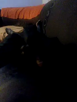 sbudalho online show from 5, 2, 2026