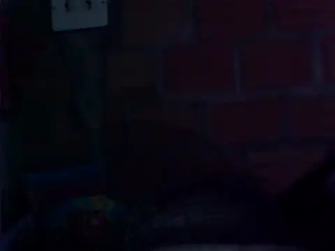 thedemonia05 online show from 7, 2, 2026