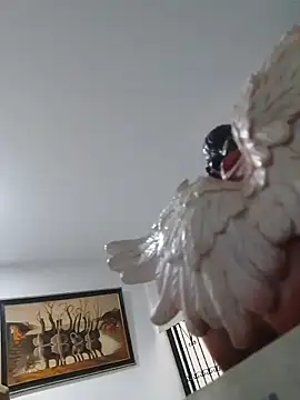 joanmanci1046 online show from 3, 2, 2026