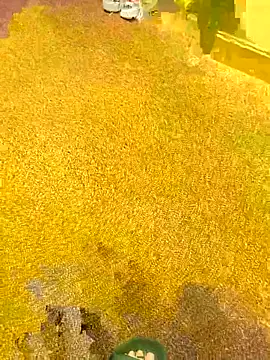 Snapshot of michaarMichaels chatting on 5, 4, 2026 michaarMichaels online show from 5, 4, 2026