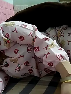 Tulip ii online show from 17, 3, 2026