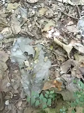 Snapshot of kalai_32 chatting on 4, 2, 2026 kalai 32 online show from 4, 2, 2026