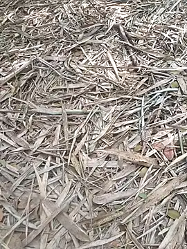 Snapshot of kalai_32 chatting on 6, 2, 2026 kalai 32 online show from 6, 2, 2026