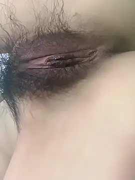 fadssa online show from 3, 2, 2026