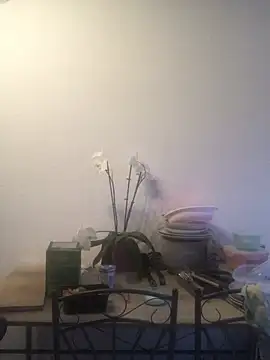 LeonieClaire online show from 24, 3, 2026