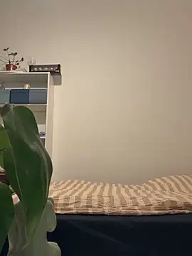 cardibibi online show from 12, 2, 2026