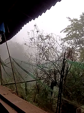 Anna 516 online show from 6, 3, 2026