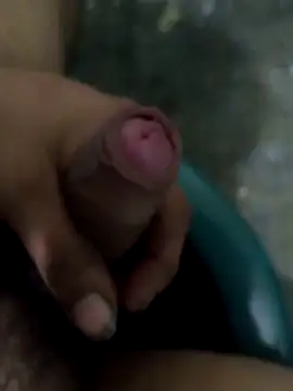 tortolito201 online show from 11, 2, 2026