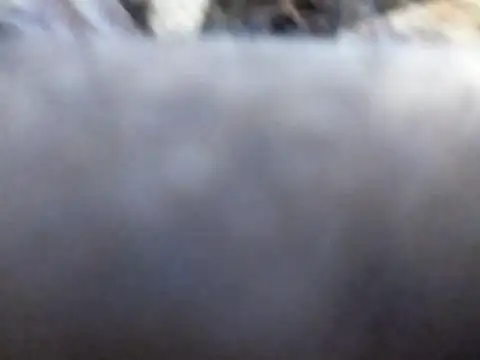 Joecool1009 online show from 3, 2, 2026