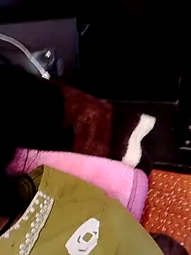 Rajkumari hot qwwen online show from 12, 2, 2026