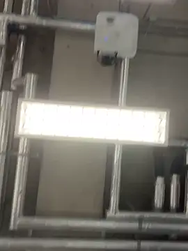 simonshulker online show from 3, 2, 2026