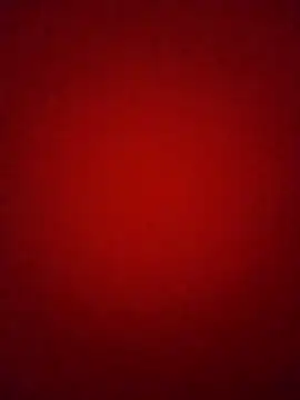 Pelloz online show from 4, 2, 2026