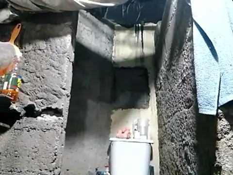 polla large active online show from 11, 4, 2026