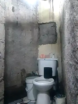 polla large active online show from 12, 4, 2026